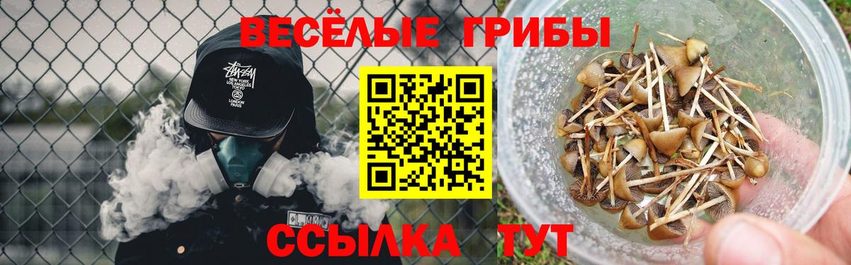 Галлюциногенные грибы Cubensis Михайловка
